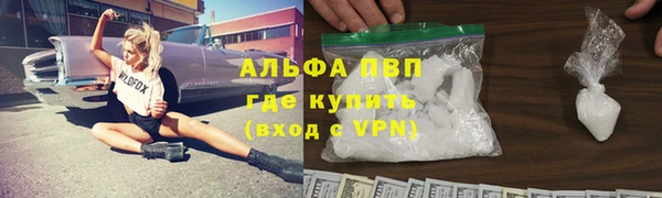 сатива Алексеевка