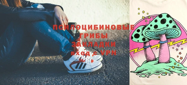 сатива Алексеевка